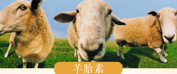 羊胎素和玻尿酸哪個(gè)好？