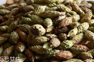 蒼耳子可以泡腳嗎 泡腳的功效 蒼耳子可以泡腳嗎 泡腳的功效