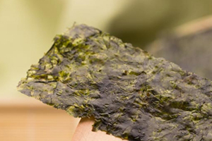 九日海苔是韓國的嗎？本命海苔安利