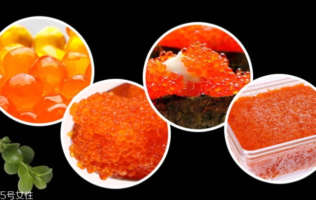 飛魚籽是什么魚的籽？壽司美味的秘訣