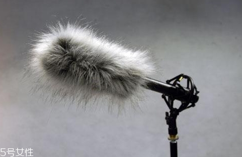 vlog是用什么拍的？手把手教你拍vlog