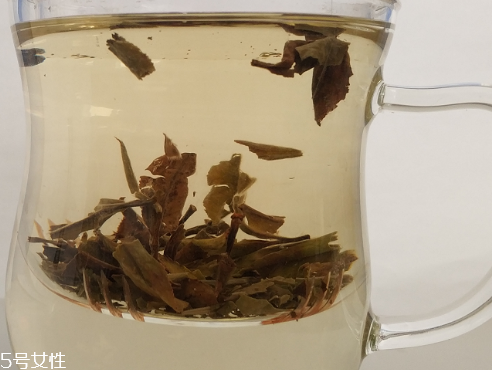 白牡丹茶多少錢一斤？180元左右