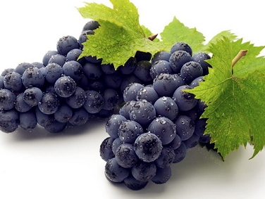 花青素可以長(zhǎng)期服用嗎？