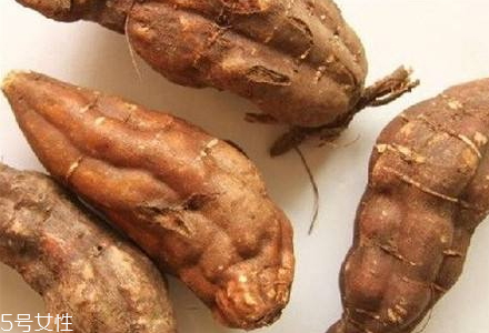 何首烏什么時候種植 3月上旬至4月上旬播種 何首烏什么時候種植 3月上旬至4月上旬播種