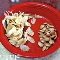 柚子籽怎么種小盆栽 柚子的子怎么種盆栽 柚子籽怎么種小盆栽 柚子的子怎么種盆栽