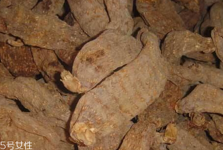 天麻和黃芪能一起吃嗎 食譜推薦 天麻和黃芪能一起吃嗎 食譜推薦