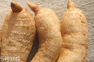 天麻和黃芪能一起吃嗎 食譜推薦 天麻和黃芪能一起吃嗎 食譜推薦