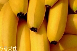 仙人蕉多少錢一斤？