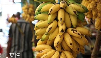 仙人蕉多少錢一斤？