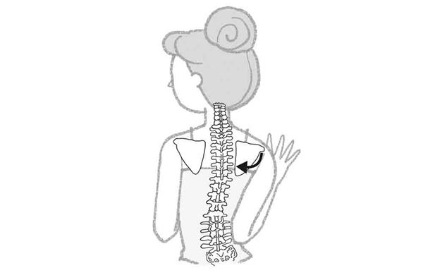 脊椎老化的癥狀 7征兆看老化程序 脊椎老化的癥狀 7征兆看老化程序