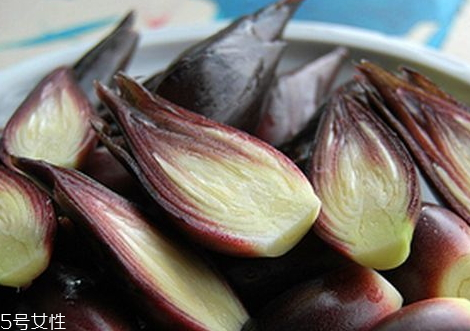 洋合筍幾月份有 六七月冒出筍尖 洋合筍幾月份有 六七月冒出筍尖