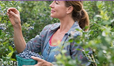 葉黃素和鈣片可以一起吃嗎 葉黃素和鈣片可以一起吃嗎