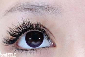 葉黃素什么時候吃最好？