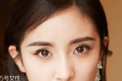 葉黃素含量最高的食物 是它是它就是它 葉黃素含量最高的食物 是它是它就是它