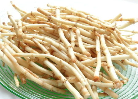 魚腥草發(fā)綠還能吃嗎 魚腥草發(fā)綠還能吃嗎