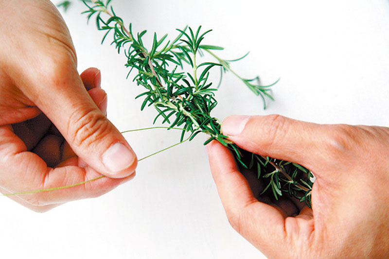 盆栽香草怎么養(yǎng) 盆栽香草怎么養(yǎng)