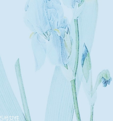 yavanna瑞士漾蘭是什么牌子？哪國(guó)的