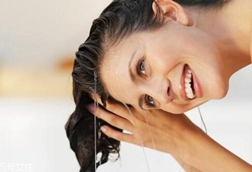 為什么天天洗頭還是油？洗發(fā)水不能直接抹頭頂