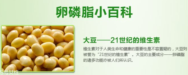 卵磷脂什么時(shí)候吃最好？早晚飯前最佳