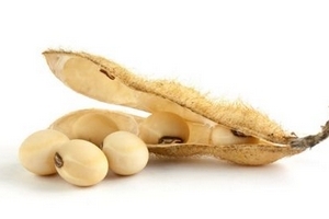 卵磷脂晚上吃可以嗎？最好是晚飯前