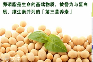 卵磷脂和深海魚油搭配吃的好處 怎么吃才正確 卵磷脂和深海魚油搭配吃的好處 怎么吃才正確