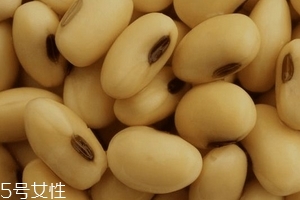 卵磷脂通乳嗎？這個(gè)還不一定