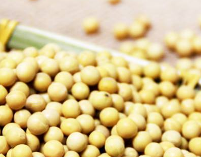 卵磷脂孕婦能吃嗎？適當(dāng)吃有益身體