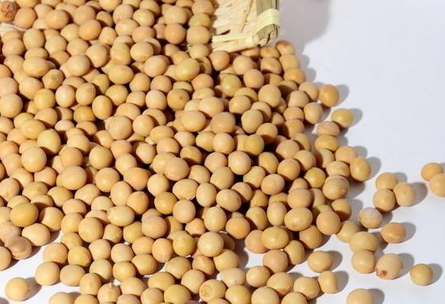 卵磷脂孕婦能吃嗎？適當(dāng)吃有益身體