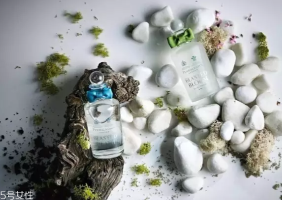 水生調(diào)香水有幾種？這三款香水讓你迷死人