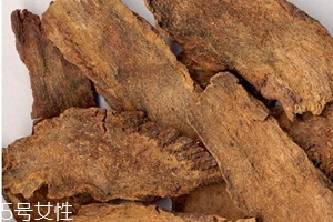 肉蓯蓉是涼性還是熱性 性質溫和的補腎陽 肉蓯蓉是涼性還是熱性 性質溫和的補腎陽