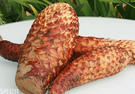 肉蓯蓉可以泡酒嗎 泡酒方法 肉蓯蓉可以泡酒嗎 泡酒方法