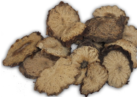 肉蓯蓉可以泡酒嗎 泡酒方法 肉蓯蓉可以泡酒嗎 泡酒方法