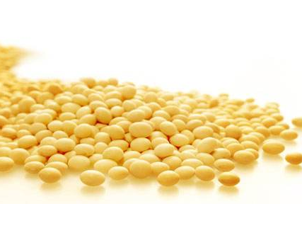 卵磷脂可以單獨(dú)吃嗎？