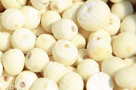 芡實什么顏色的好 紅芡實的藥用價值較高 芡實什么顏色的好 紅芡實的藥用價值較高