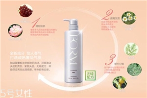 pola馥美修護洗發(fā)水價格 細軟油性發(fā)質(zhì)的最愛