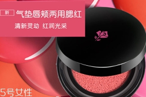 2018氣墊腮紅哪個牌子好？