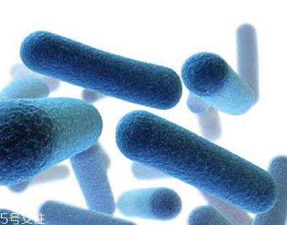 蝦青素是怎么提取的？過程很復雜