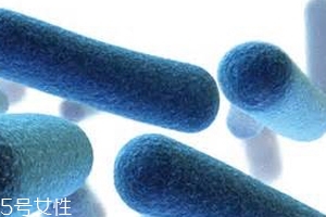 葡萄籽的功效與作用 抗衰老有一手 葡萄籽的功效與作用 抗衰老有一手