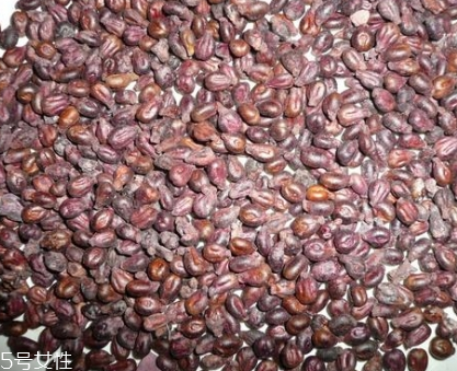 葡萄籽的功效與作用 抗衰老有一手 葡萄籽的功效與作用 抗衰老有一手