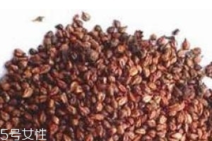 葡萄籽是飯前吃還是飯后吃？最全吃法