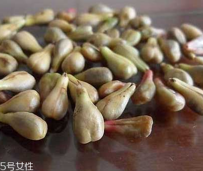 葡萄籽是寒性的嗎？屬于寒性