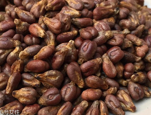 葡萄籽是葡萄的籽嗎？