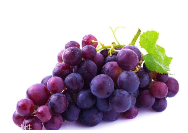 葡萄籽是維生素e嗎？并不是維生素e