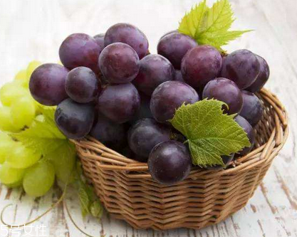 葡萄籽是維生素e嗎？并不是維生素e