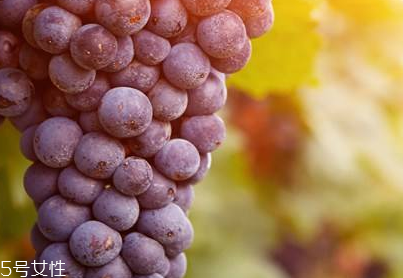 葡萄籽是什么味道？有點(diǎn)澀澀的