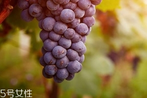 葡萄籽會影響月經(jīng)嗎？吃法正確就不會