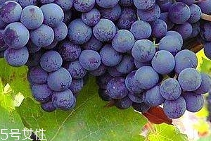 葡萄籽會(huì)長(zhǎng)痘嗎？沒(méi)有這個(gè)情況