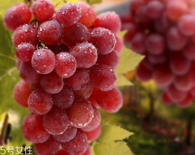 葡萄籽會(huì)長(zhǎng)痘嗎？沒(méi)有這個(gè)情況