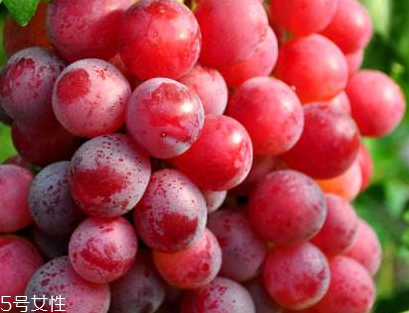 葡萄籽會發(fā)胖嗎？不會發(fā)胖
