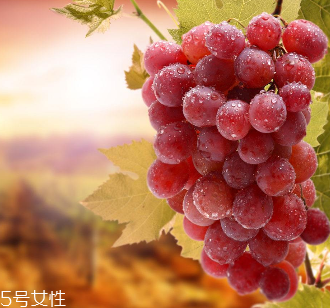 葡萄籽會影響睡眠嗎？這個肯定不會